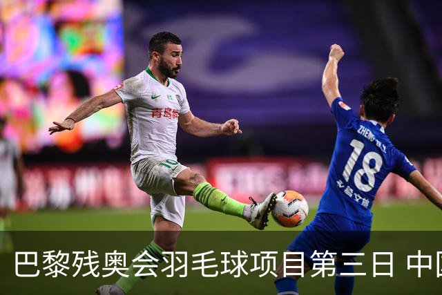 巴黎残奥会羽毛球项目第三日 中国队取得13胜3负
